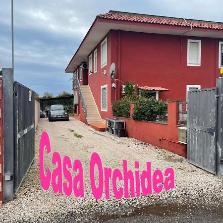 Casa Orchidea Διαμέρισμα Φιουμιτσίνο Εξωτερικό φωτογραφία