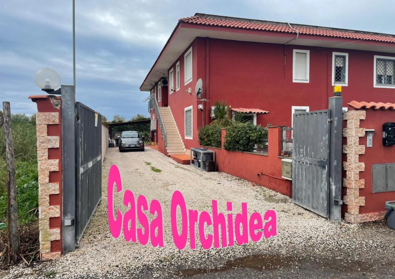 Casa Orchidea Διαμέρισμα Φιουμιτσίνο Εξωτερικό φωτογραφία