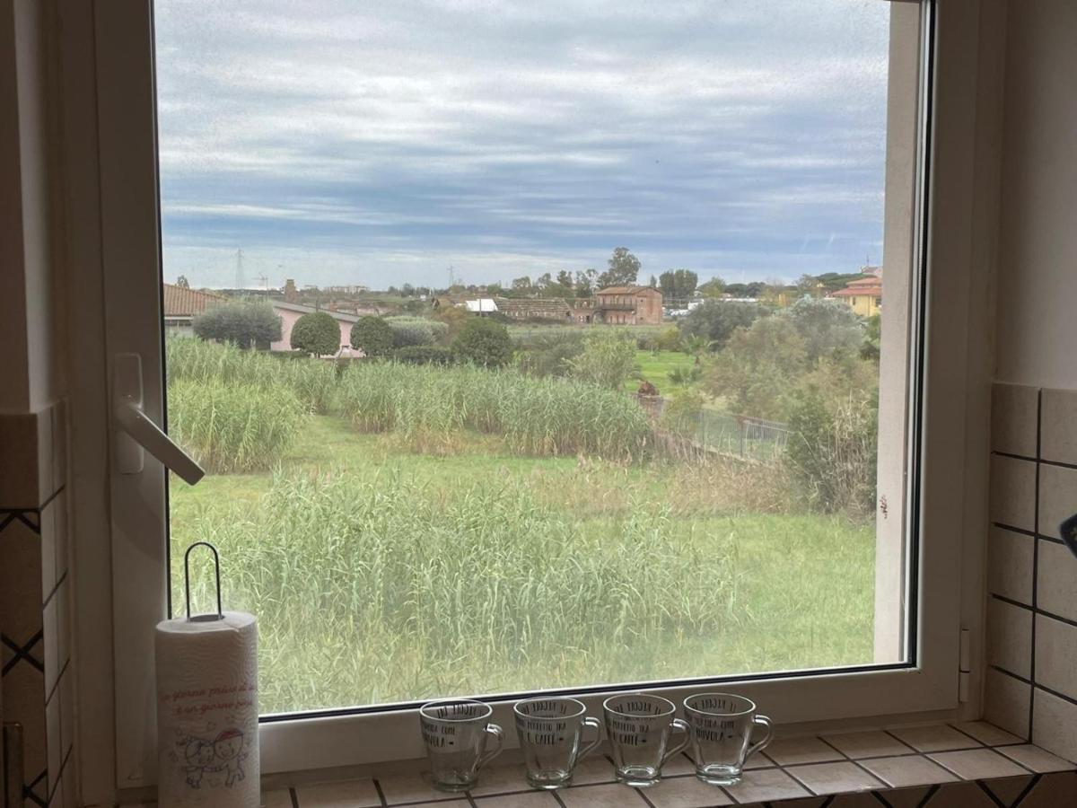 Casa Orchidea Διαμέρισμα Φιουμιτσίνο Εξωτερικό φωτογραφία